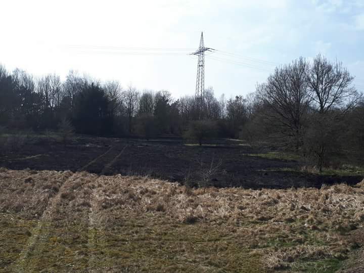 Brandeinsatz Brandeinsatz