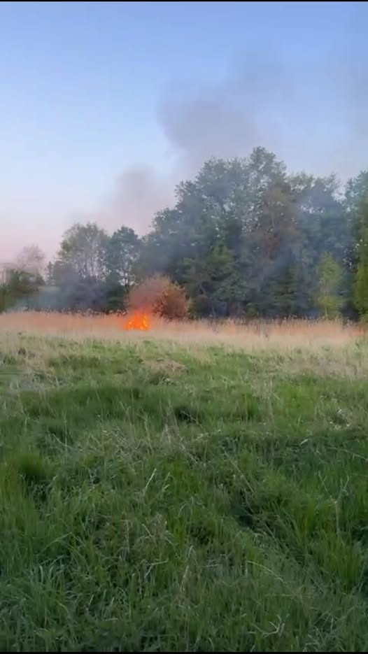 Einsatzfoto Flächenbrand
